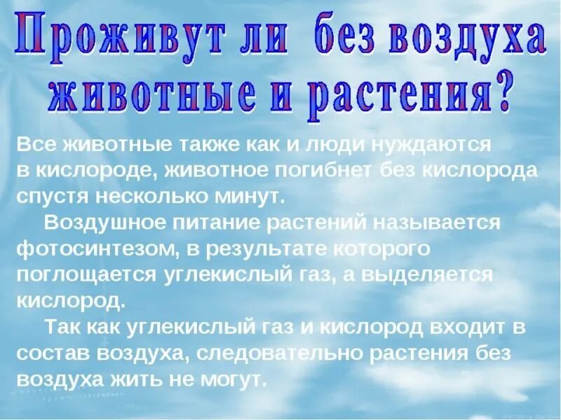 Какое значение воздуха в жизни растений. Значение воздуха для растений животных. Значение воздуха для растений животных и человека. Значение воздуха для растений. Какое значение имеет воздух для растений животных человека.