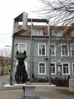 Зеленоград коты