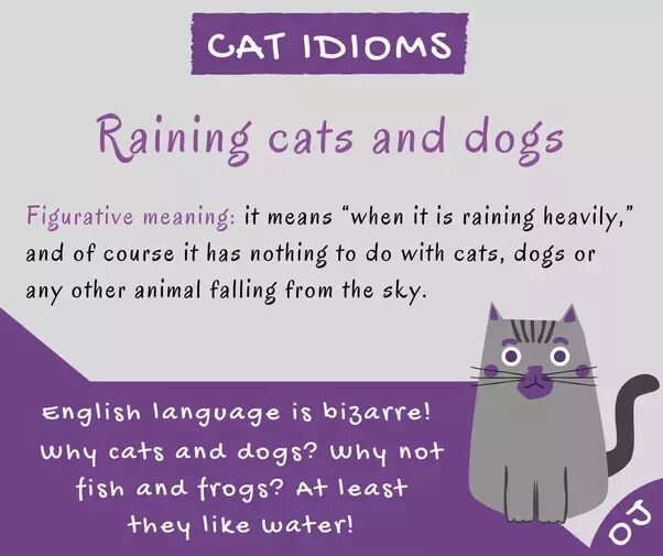 I can like cat. Like Cat and Dog идиома. Its raining Cats and Dogs перевод идиома. Идиомы про кошек на английском. Rain Cats and Dogs идиома.