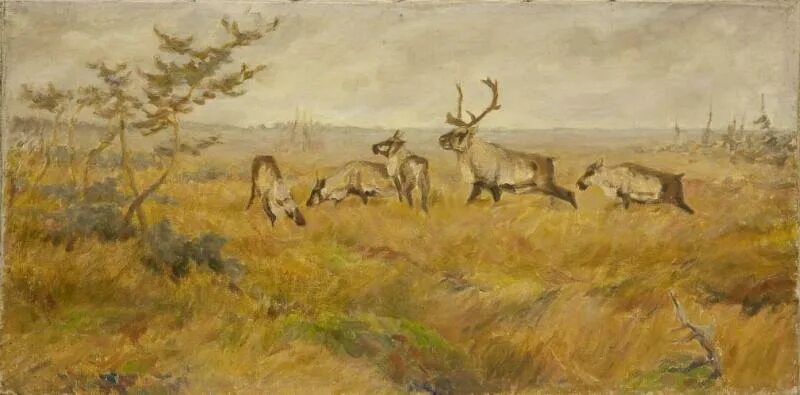 Флеров картины. Флеров картины