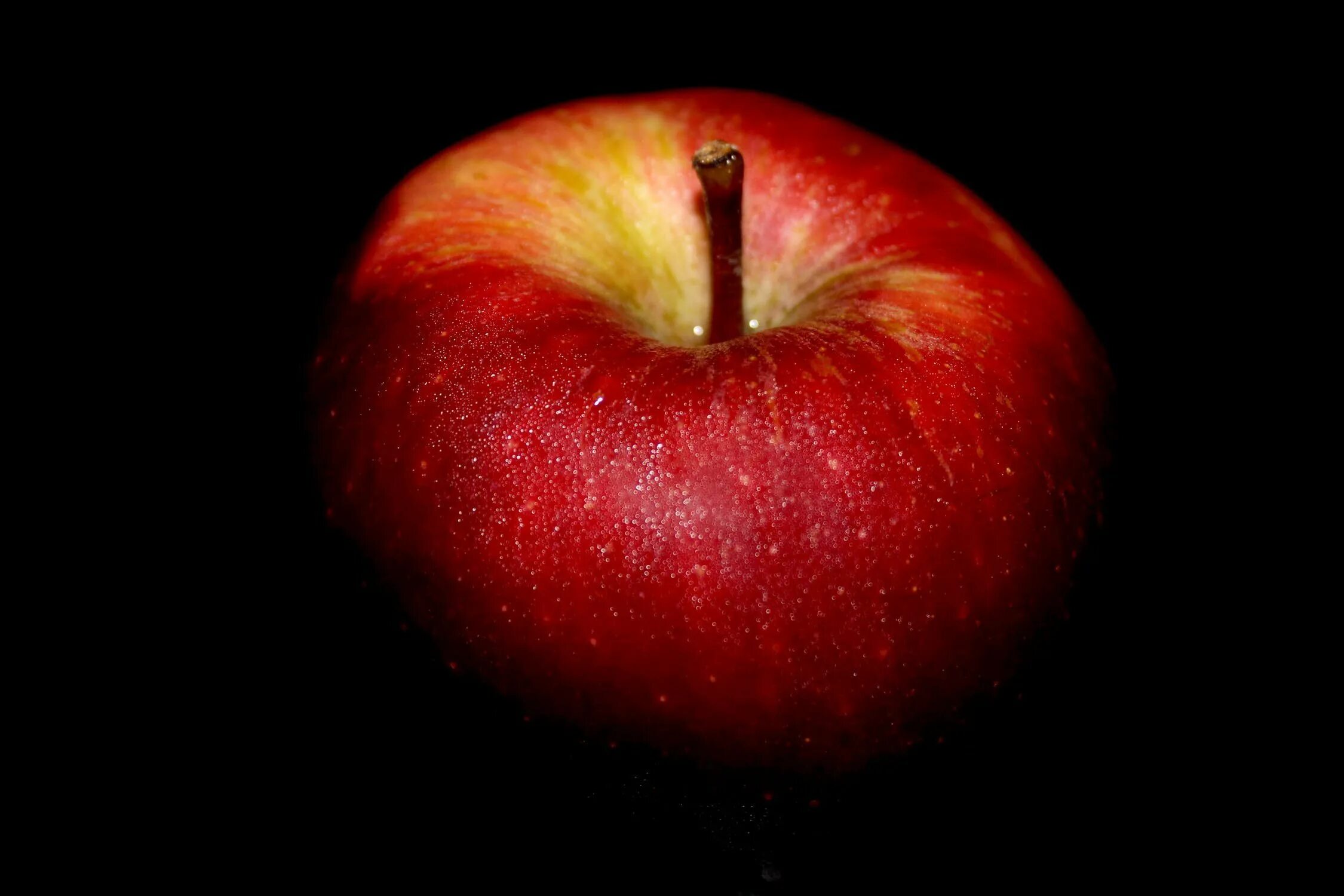 Яблоко на черном фоне. Яблоко на темном фоне. Черное яблоко. Яблоки красные. Красное яблоко на черном фоне.