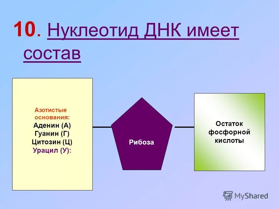 нуклеотиды нуклеозиды нуклеиновые кислоты. дезоксирибоза в структуре нуклеотида. рибонуклеиновая кислота азотистые основания. строение нуклеотида пентоза. остаток фосфорной кислоты урацил.