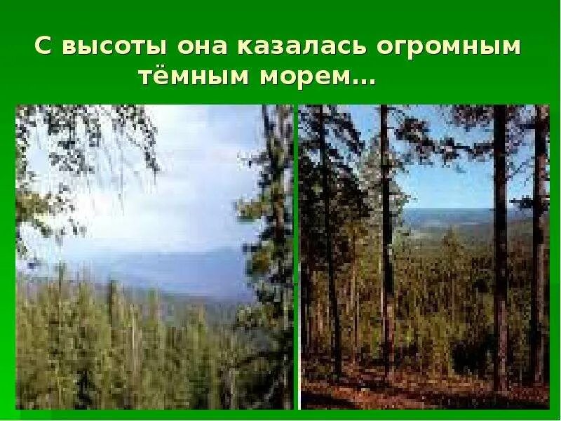 Презентация васюткино озеро 5 класс литература. Васюткино озеро. Васюткино озеро презентация 5 класс. Тайга Тайга без конца и края. 5 Класс литература в Астафьев Васюткино озеро.