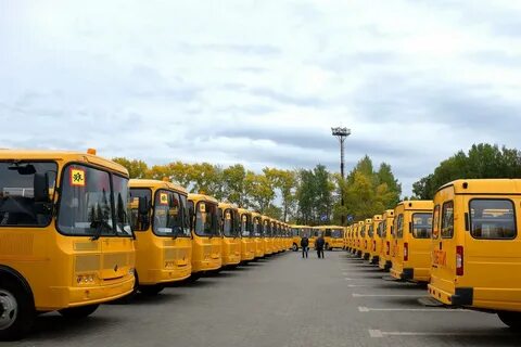 Парк школьных автобусов
