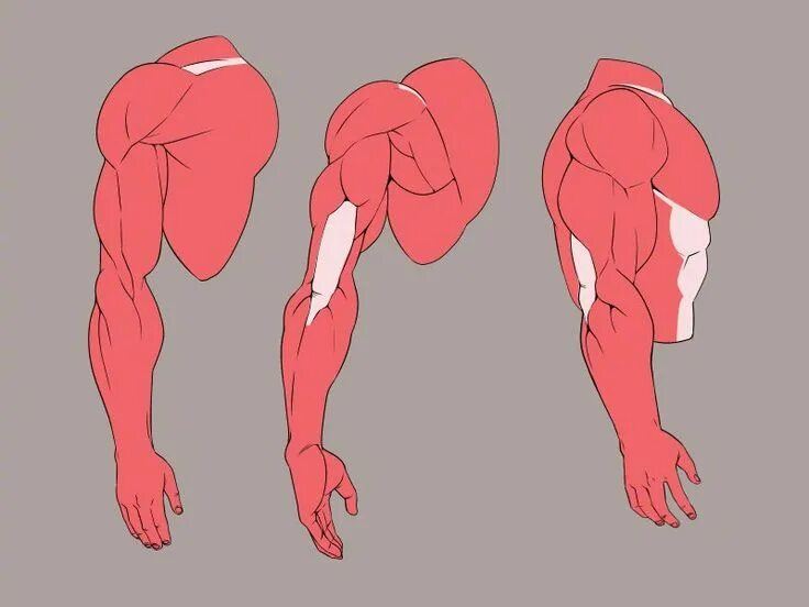 Back ref