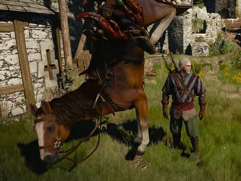 Плотва игра. Witcher 3 плотва. плотва ведьмак. геральт и плотва. ведьмак 3 баг.