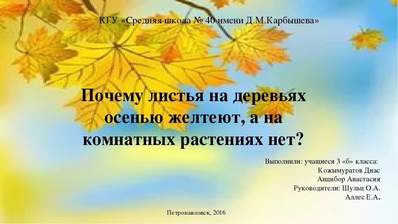 Почему желтеют листья деревьев. Почему желтеют листья деревьев