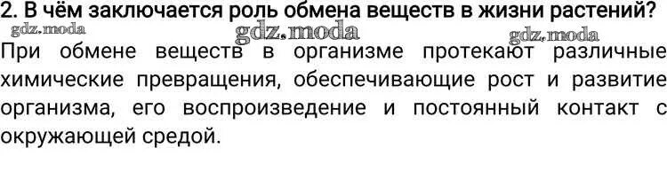 В чем состоит биологическая роль обмена веществ. В чём заключается роль обмена веществ в жизни растений. в чем роль обмена веществ. в чем заключается роль обмена веществ в жизни растений 6. в чём заключается роль обмена веществ в жизни растений 6 класс.