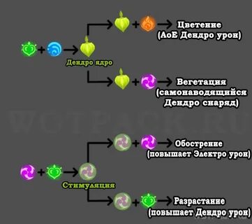 Реакция пар в геншине
