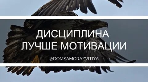 Отличнейший дисциплина