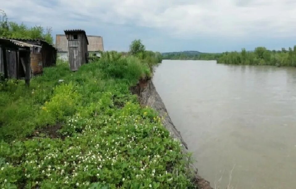 Шульгин Лог Алтайский край. Алтайский край Советский район село Шульгин Лог. С Шульгин Лог советского района Алтайского края. Алтай село Шульгин Лог. Погода шульгин лог советского