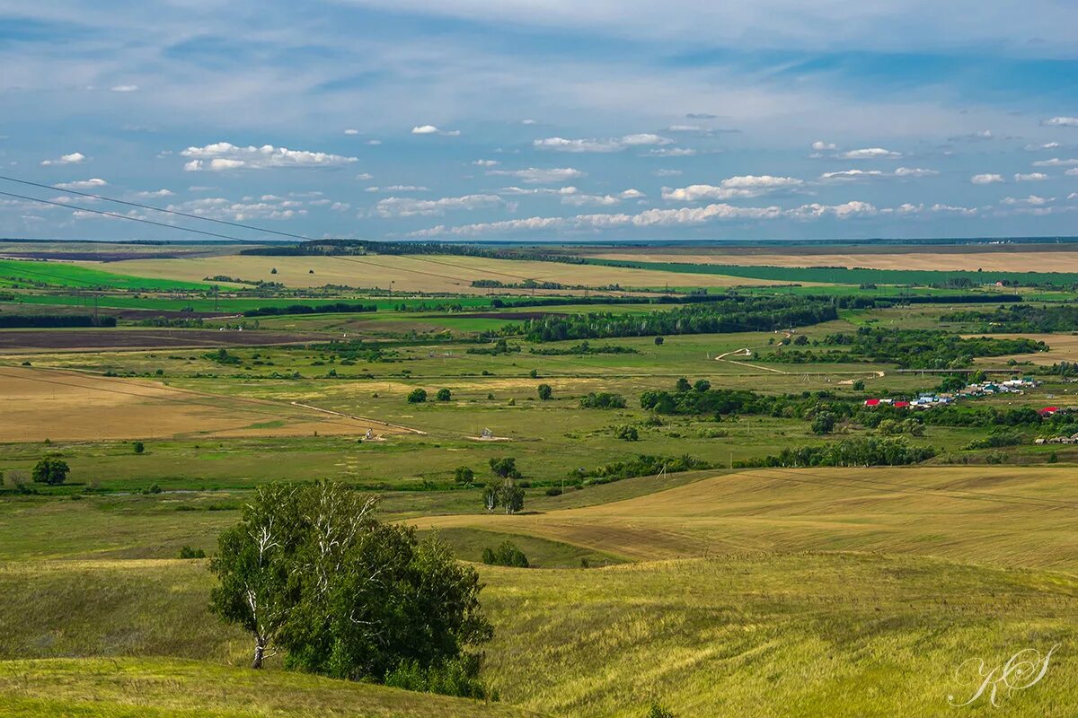 Южные просторы