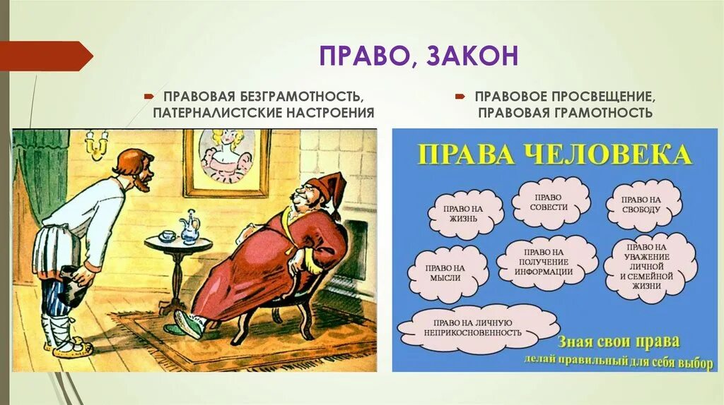 Сесть и закон. Правовая грамотность. Право и закон. Правовая безграмотность. Правовая безграмотность примеры.