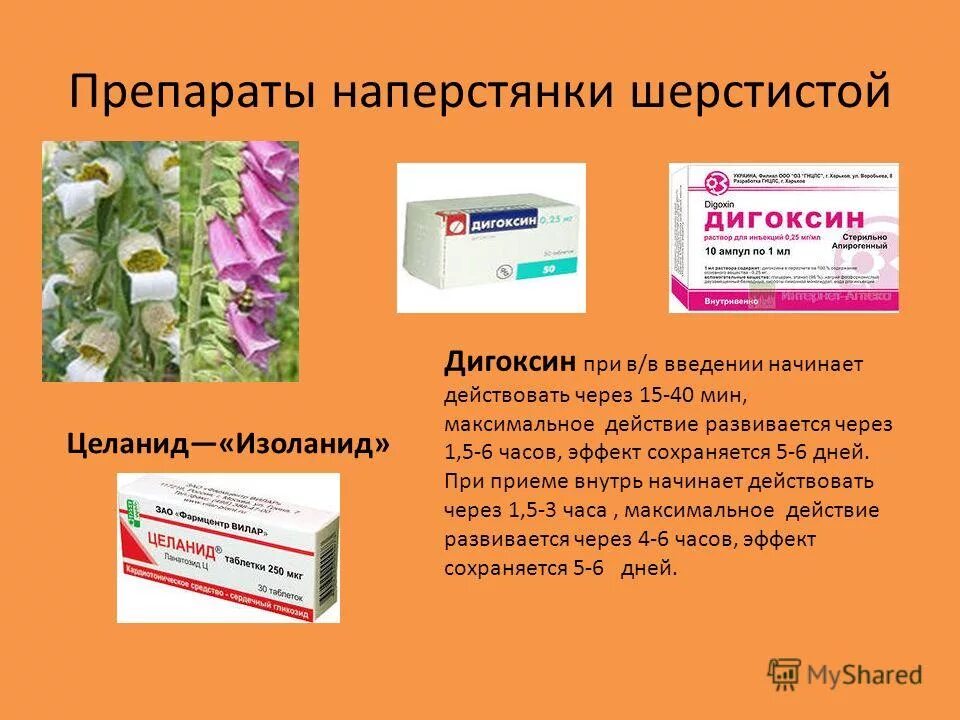 Какие таблетки для цветов
