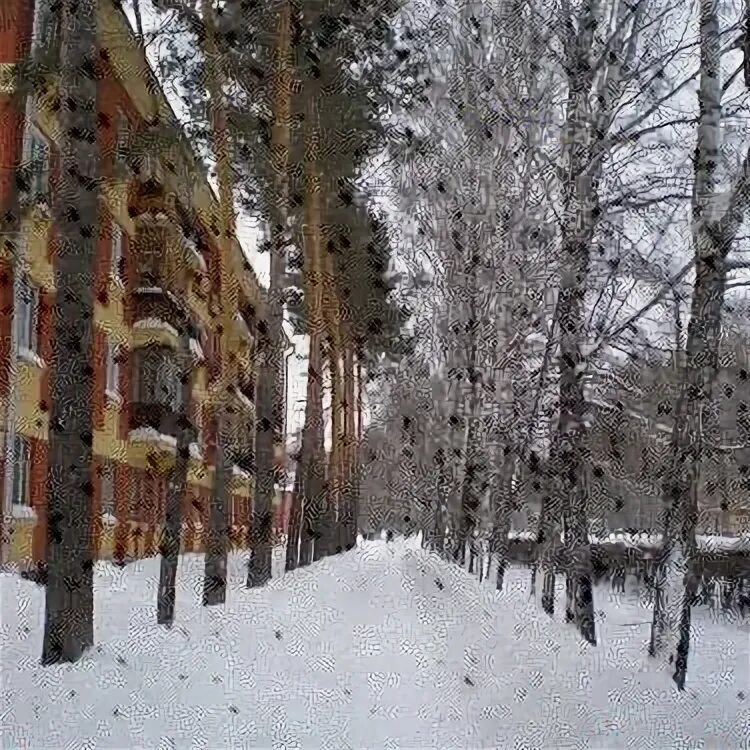 Академгородок морской проспект зима. Академгородок Новосибирск зимой. Академгородок Новосибирск зима университет. Академгородок Новосибирск весной. Купить квартиру в верхней зоне