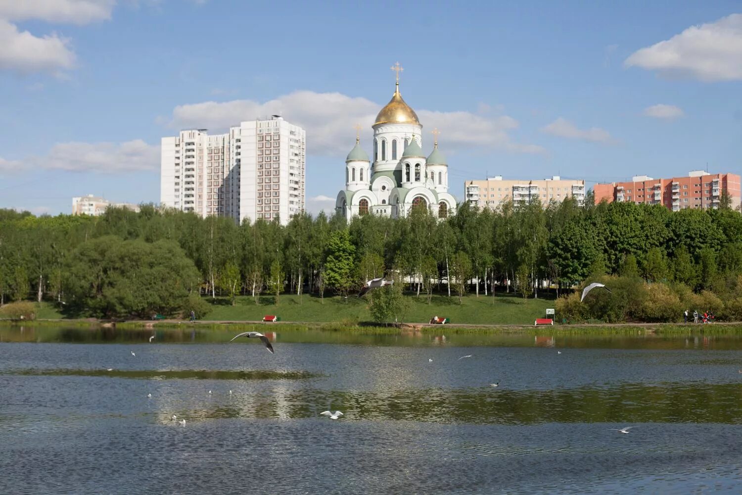 Почему солнцево назвали солнцево. Солнцево парк. Парк в Солнцево парк. Центральный парк Солнцево Москва. Пруд Солнцево парк.