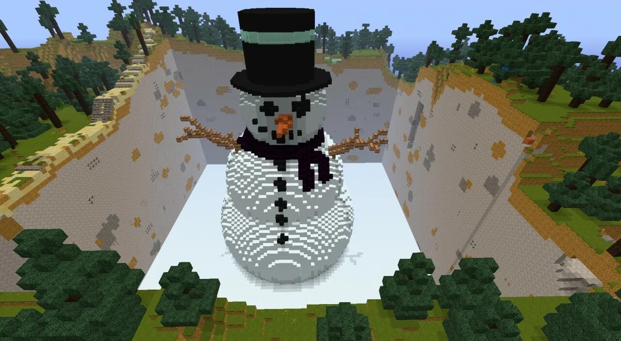 Type minecraft snowball run
