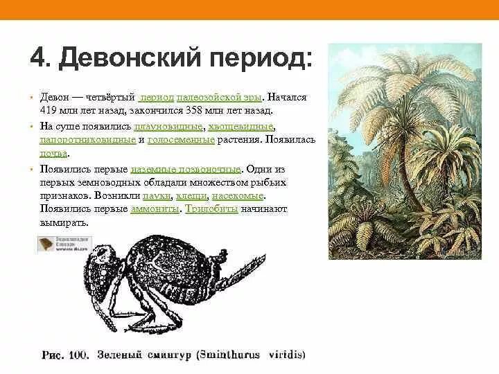 Жизнь на суше появилась. Девонский период (419—359 млн лет назад). Девон период палеозойской эры. Палеозой Девон растения. Девон 419 358 млн лет назад.