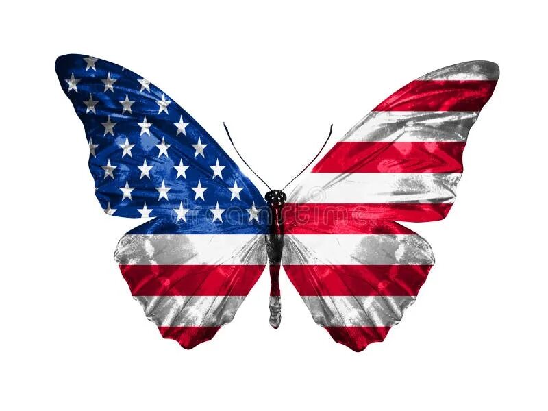 Бабочка морфо амфитрион. Butterfly us. Флаг с бабочкой. Фирма баттерфляй настольный теннис. Butterfly us.