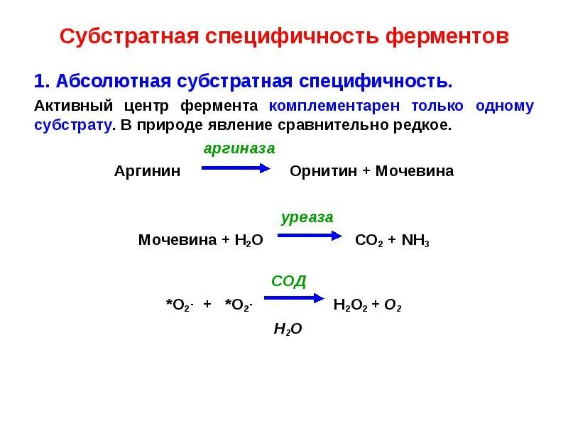 Субстратная специфичность ферментов. Абсолютная специфичность ферментов. Субстратная специфичность. Ферментативный катализ примеры.