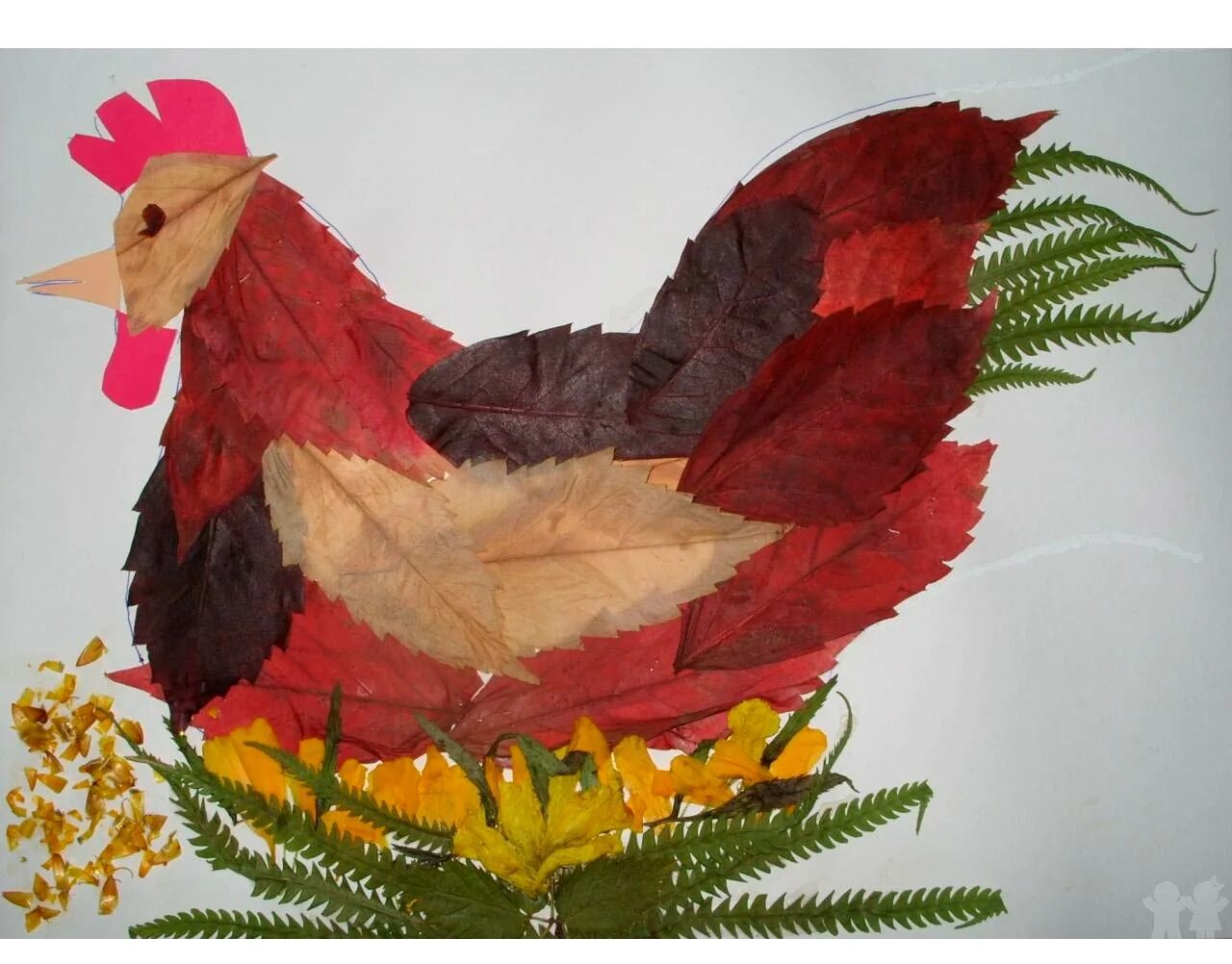 Аппликация из листьев. Птица из природного материала. Петух листьев. Петух листьев. Петух из осенних листьев.