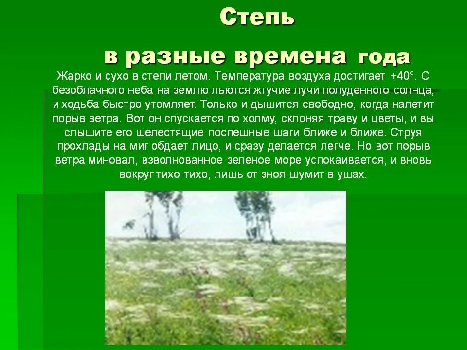 Доклад про степь. Презентация на тему степь. Доклад на тему степь. Зона степей доклад.