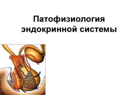 Сообщение о нарушении работы эндокринной системы