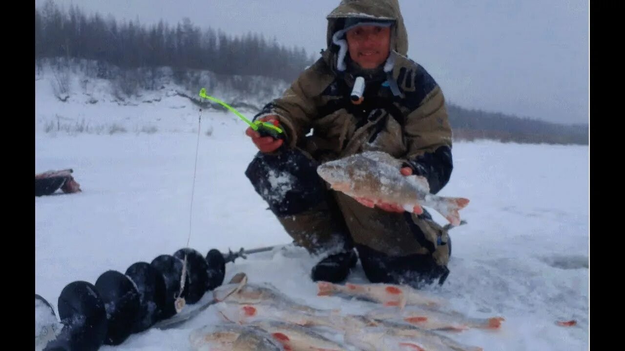 Рыбалка якутия клевая лето видео. Рыбалка якутия клевая лето видео. Рыбалка якутия клевая лето видео. Якуты на рыбалке. Рыбалка в якутии.