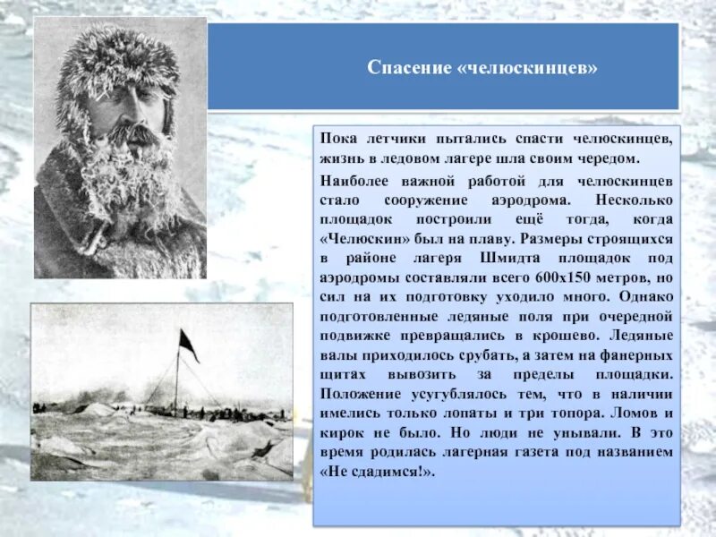 Челюскин герой. Семён Иванович Челюскин. Экспедиция Челюскина 1933. Великая Северная Экспедиция Челюскин.