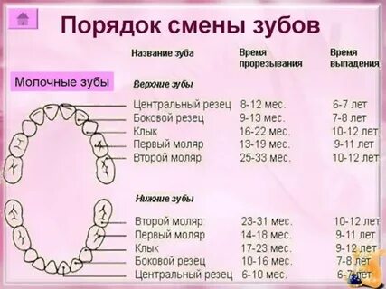 Куда девать молочные зубы после выпадения
