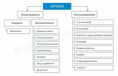 Какие виды отпусков предусмотрены