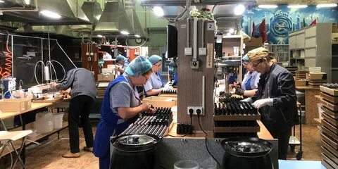 День без турникетов в москве