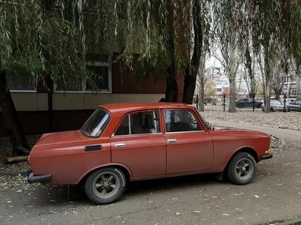 Вопросы москвичей