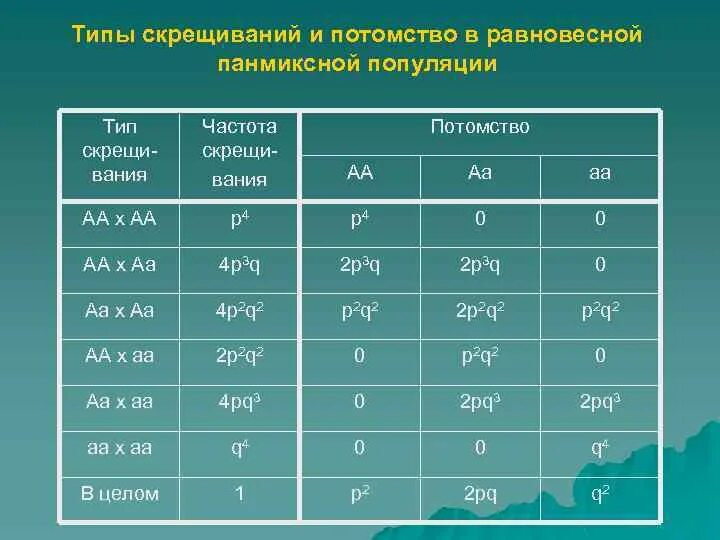 Полученное скрещиваем потомство