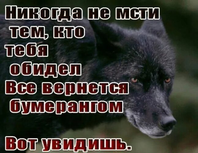 Кузнец кто тебя обидел. Никогда не мсти кто тебя обидел. Никогда не мсти тем кто обидел. Никогда не мстите тем кто вас обидел Бог позаботиться. Тот кто обидел волка .....