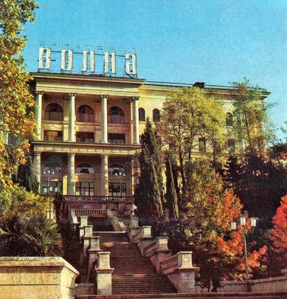 Школы в хосте