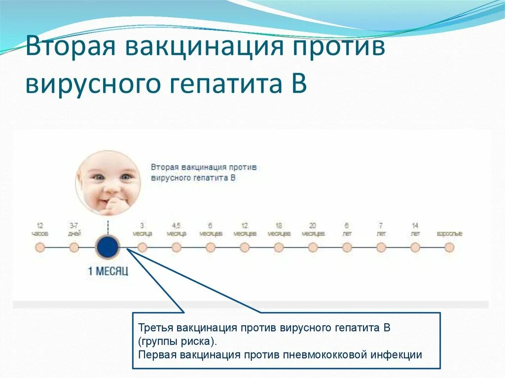 Гепатит прививка через сколько делают. Гепатит б вакцинация схема детям. Вторая вакцинация против вирусного гепатита в. Прививка от гепатита схема вакцинации. Вакцинация против гепатита в детям схема.