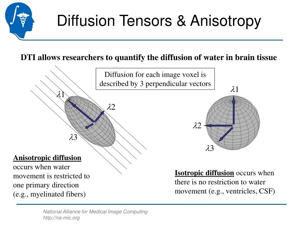 Diffusion tensor. Diffusion tensor imaging (dti). isotropic and anisotropic. mean diffusion carts dti mri. anisotropy nmr.