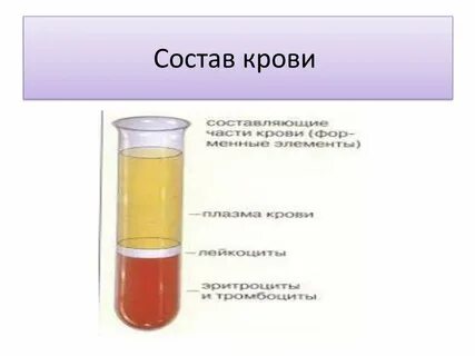 Что означает жидкое