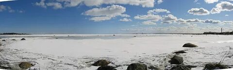 Белое море соленее черного