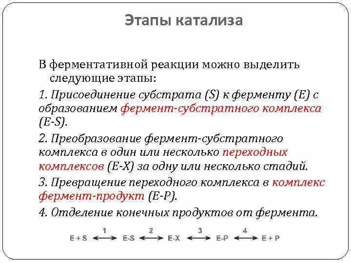 Катализ ферментов. Схема ферментативного катализа. Схема механизма ферментативной реакции. Этапы ферментативной реакции. Основные этапы ферментативного катализа.