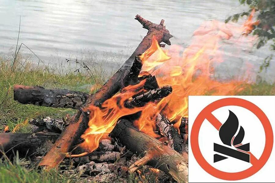 Костры в лесу запрещены. Жечь костер. Запрет на разжигание костров в лесу. Запрещено жечь костры. Разводить костер в лесу запрещено