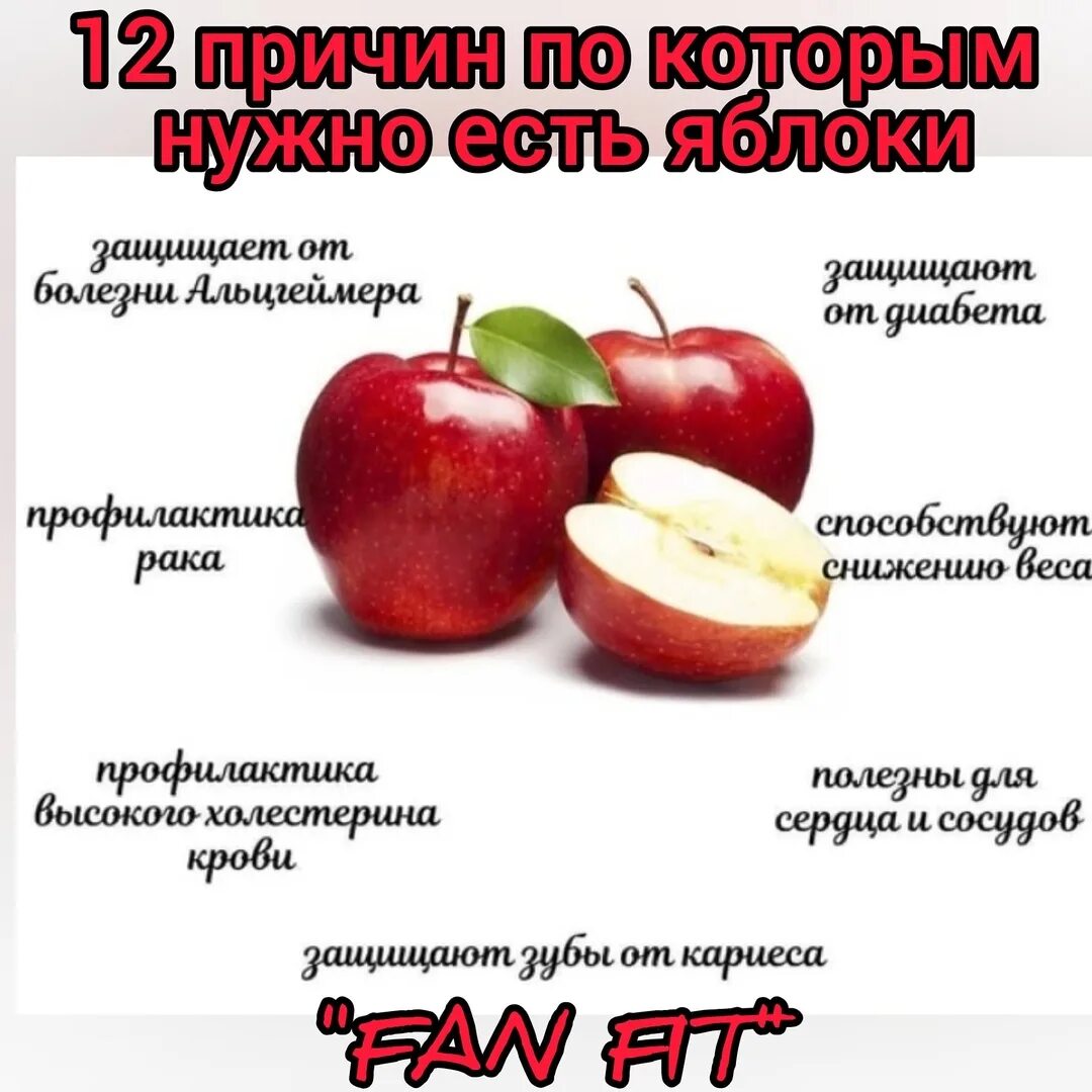 Можно ли есть яблоки утром. Причины по которым нужно есть яблоки. Почему надо есть яблоки. Когда правильно есть яблоки. Почему обязательно нужно есть яблоки".
