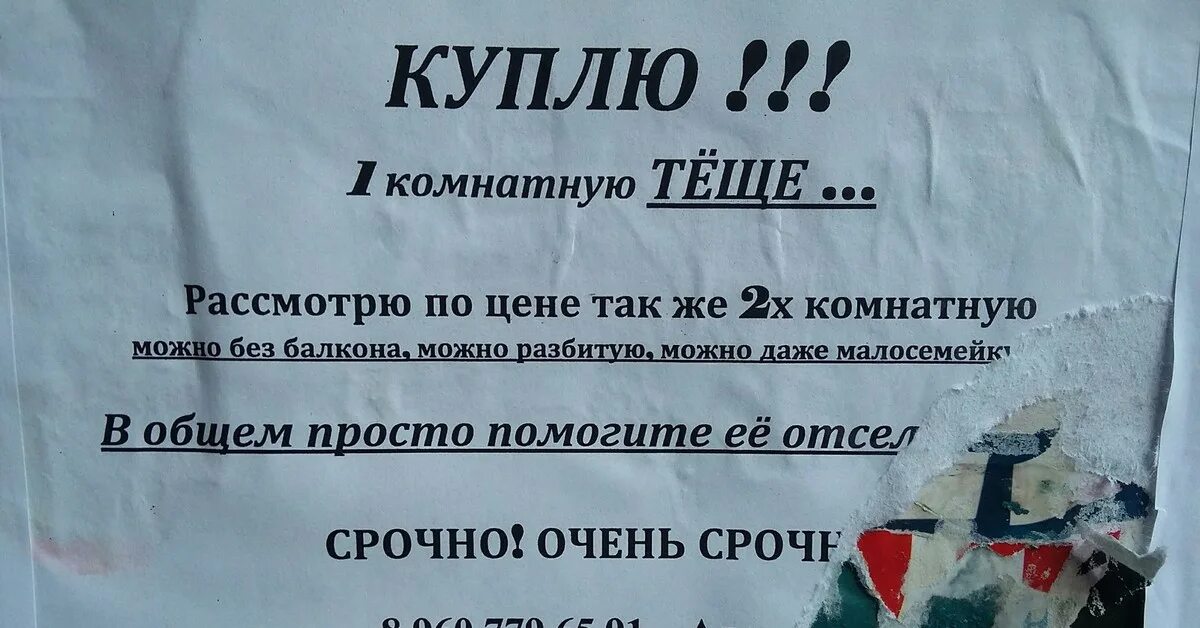 Объявление. Объявление о покупке квартиры. Объявление о покупке квартиры образец. Креативные объявления риэлторов. Апатиты объявления куплю