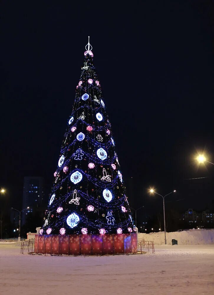 елка на площади торжеств