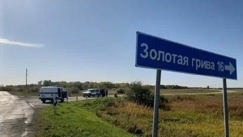 Золотая грива новосибирская область
