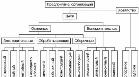Основной и вспомогательный виды деятельности