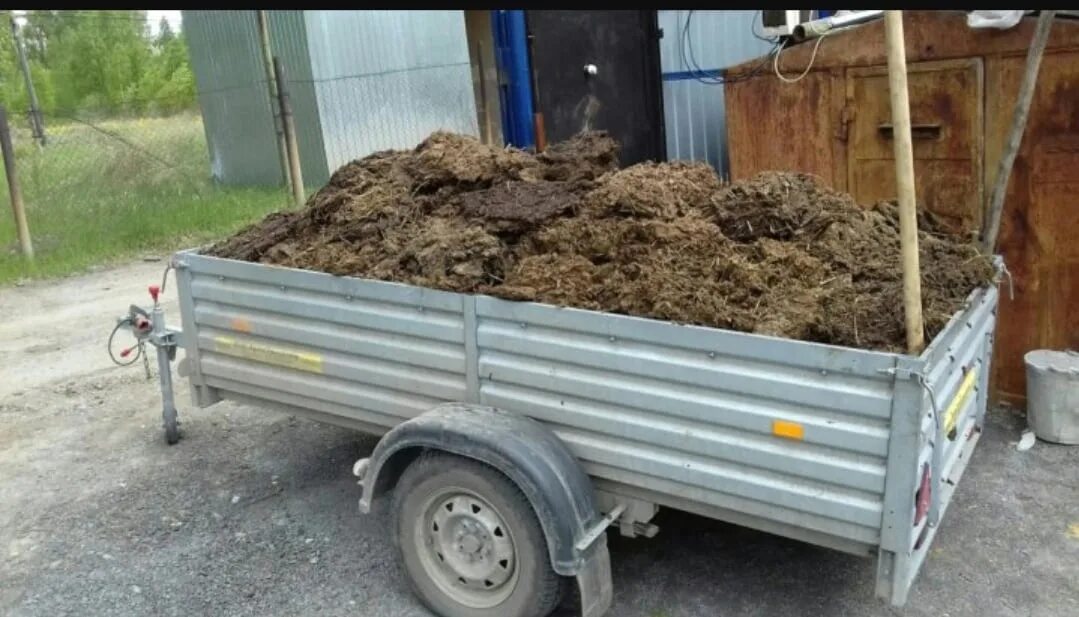 Сколько стоит машина навоза. Прицеп для навоза. Перегной в прицепе. Телега с навозом. Перегной легковой прицеп.