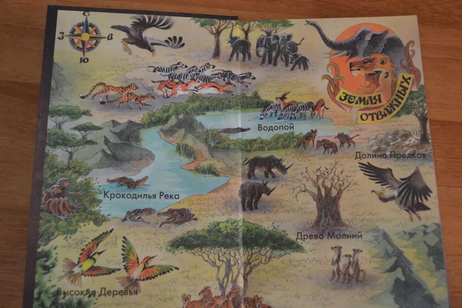 Книга земля отважных. Земля отважных эрин хантер арты. Хантер эрин "закон чести". Земля отважных эрин хантер. Книга земля отважных.