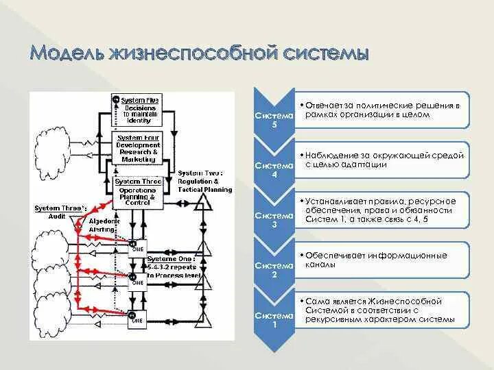 Общие законы управления принципы управления